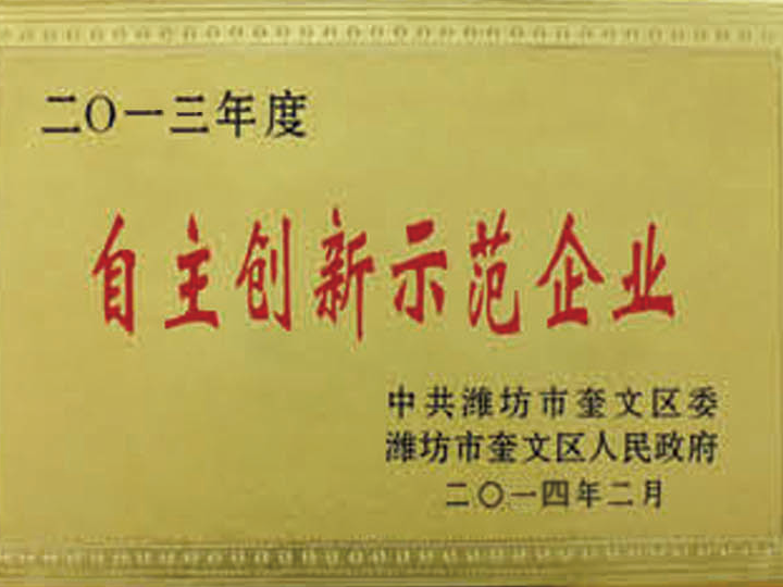 自主創(chuàng  )新示范企業(yè)
